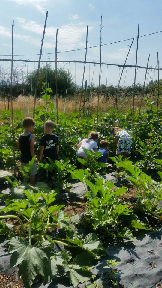 Bambini nell’orto didattico